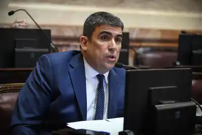 La advertencia de Bensusán al Gobierno: "Están cometiendo delitos"