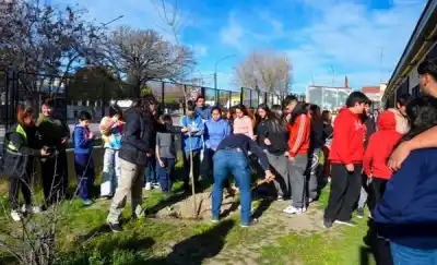 Plantaron árboles en una semana y el municipio reveló qué pasará con los espacios verdes