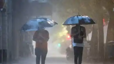 Lluvias fuertes y tormentas intensas: la primavera que se viene para Misiones