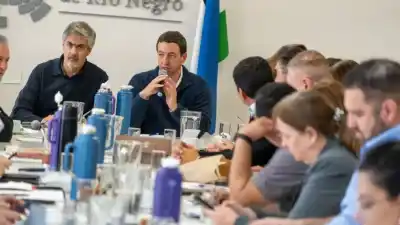 No más filas ni viajes largos: el plan de Río Negro para que reclames servicios desde el celular