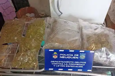 Entraron de madrugada, los recibieron con armas: así actuaba la banda que cayó en un megaoperativo