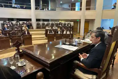 Casi 20 años rescatando animales: el homenaje que emocionó a toda la Legislatura