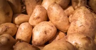 La fruta que se paga más cara que un corte premium: hasta $15.000 el kilo