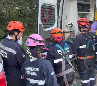 Trepó a un árbol en plena Ciudad Universitaria y tuvieron que rescatarlo