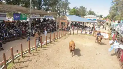 El campo formoseño se muestra: qué trae la expo que abre este viernes