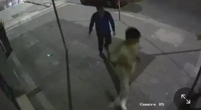 El video que muestra lo que hizo Budini después del golpe fatal a Toledo
