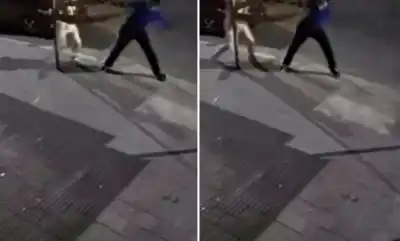 Lo que muestra el video de la golpiza que terminó con Federico Toledo: la secuencia que expone el juicio