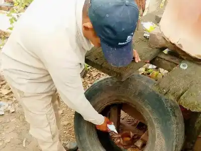 Las lluvias reactivan el peligro en los patios: el error que el mosquito espera que cometas