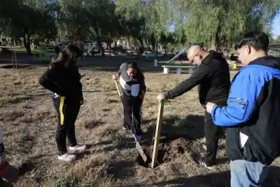 Plantarán árboles en la plaza Sarmiento de Villa Quilino este martes