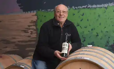 Presentó 16 vinos en un concurso internacional y se llevó todos los premios: la bodega pampeana que apuesta a cepas raras