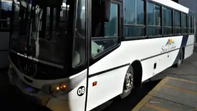 Cobran subsidios y circulan con choferes en negro: la denuncia que sacude a una empresa de transporte