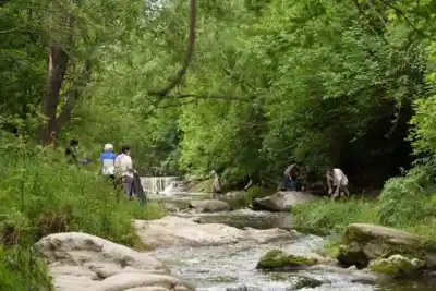 Anisacate convoca a vecinos para limpiar el arroyo Chicamtoltina