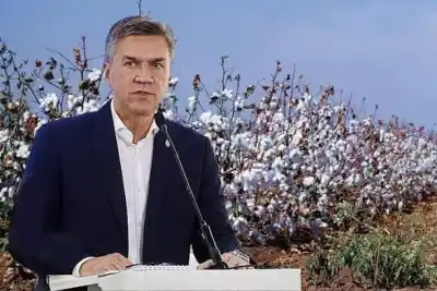 Semilla de algodón a menos de la mitad: el plan del Chaco para la siembra 2026/27