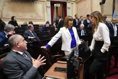 El Senado define hoy el super-RIGI: los cambios que negocian para destrabar el dictamen