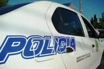 Paseaba a su perro, se cruzó con otro y terminó en un ataque a puñaladas