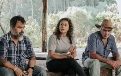 La emergencia que impulsa Misiones para blindar a los productores de yerba: quiénes quedan adentro
