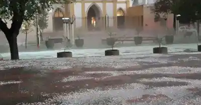 Guaymallén se prepara para El Niño: 4.000 km de cauces y 500 árboles en la mira