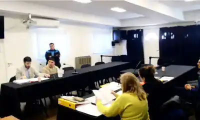 Robó, amenazó y escaló: el joven que admitió 16 delitos y logró una condena más leve