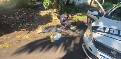 Llegó a discutir, roció combustible y encendió el fuego: el desenlace que no esperaba