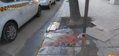 Meses de aguas servidas y olor nauseabundo a metros de Tribunales: los reclamos que nadie escucha