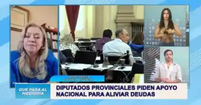 Endeudados para comer: el reclamo de una diputada salteña que expone la crisis