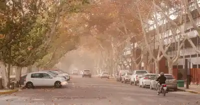 El viento Zonda llega con ráfagas de 70 km/h: las advertencias de Protección Civil para evitar un desastre