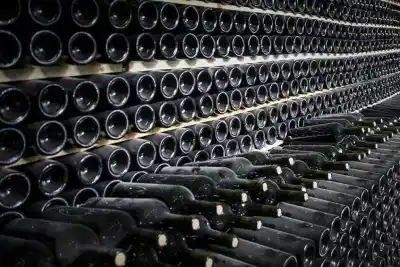 El viento que hace único al Pinot Noir de Neuquén y ya compite con regiones de 100 años