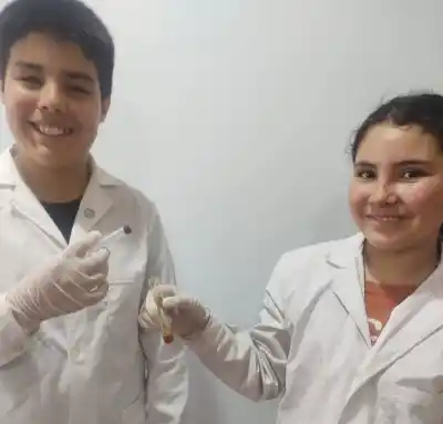 Seis chicos de una escuela rural se preguntaron cómo salvar a unas abejas y su idea llegó a la Feria Nacional de Ciencias