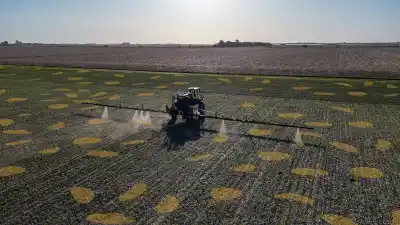 Aplicaron herbicida solo en el 27% de 1,2 millones de hectáreas: la tecnología que está cambiando el campo