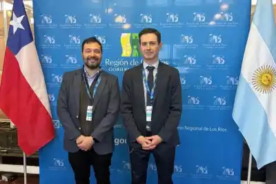 Neuquén presiona a Chile para liberar el comercio de carne y ganar mercados en Asia