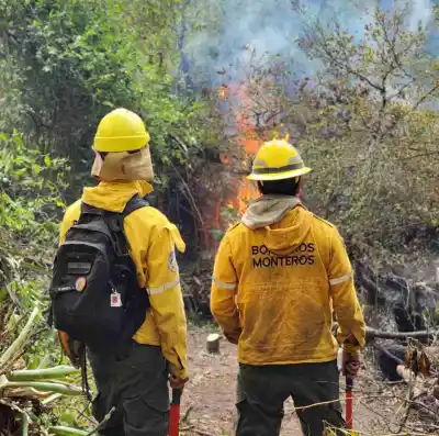 Bomberos Voluntarios de Monteros combaten el fuego en el sur tucumano