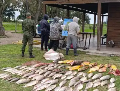 Un llamado anónimo destapó la maniobra: más de 90 peces ilegales en plena veda