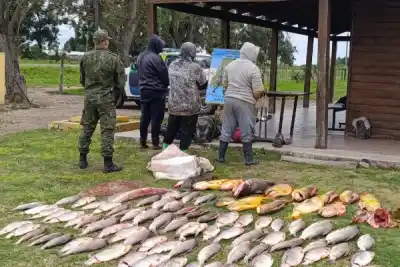 Casi un centenar de peces protegidos: así pescaban en el Paraná en plena veda