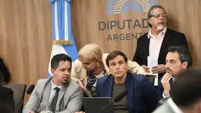 El cronograma que desató la guerra entre oficialismo y oposición por el endeudamiento familiar