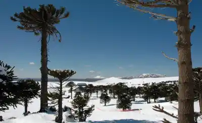 Una caminata con raquetas termina en una cascada que muy pocos vieron así