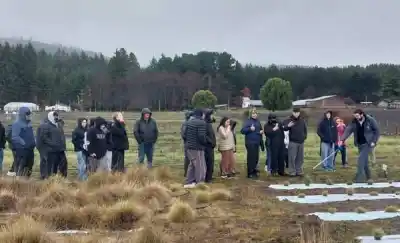 Abrieron las tranqueras de un campo experimental a estudiantes