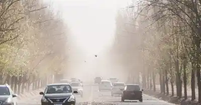 El Zonda ya golpea el Gran Mendoza: piden no salir y estas son las zonas más afectadas