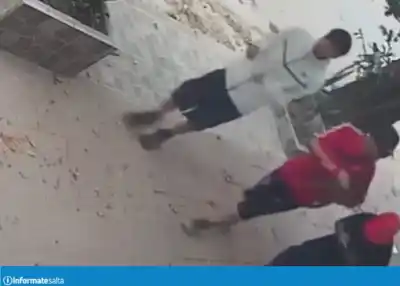 La sacaron de su vereda en Tartagal y ahora su dueña la busca desesperada: Cora, una gata en tratamiento, no aparece