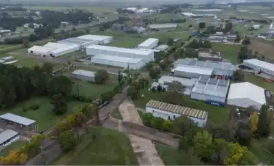 La apuesta millonaria que busca blindar a la industria pampeana
