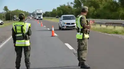 Viajaba con peluches en el micro: adentro escondían cuatro kilos de cocaína