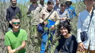 Se metieron una semana en una reserva natural y lo que crearon se verá gratis en Merlo