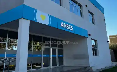 Tres líneas de colectivo te dejan en la puerta de Anses: cuáles son y cómo volver