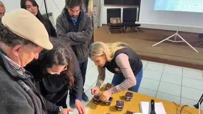 Nueve uvas sin semilla creadas por el INTA ya se exportan a tres continentes