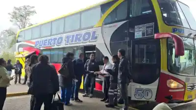 Colectivos especiales por $3.600: cómo llegar a la Fiesta del Pomelo sin auto