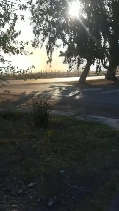 El viento que complicó todo: el incendio que amenazó un barrio de San Martín