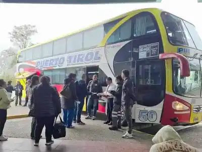 Fiesta del Pomelo: refuerzan los colectivos para que nadie se quede afuera