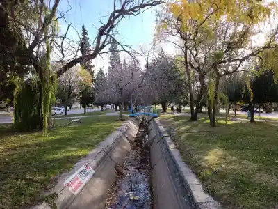 Sol y ráfagas de más de 50 km/h: el pronóstico para Roca este jueves
