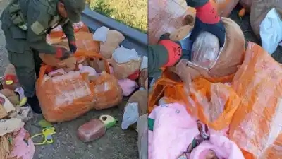Viajaban en un tour de compras, pero los peluches escondían un cargamento
