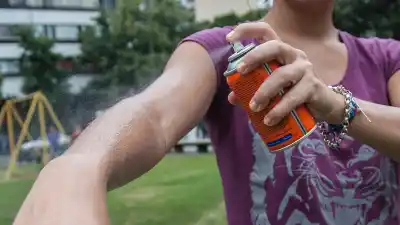 Volvieron los mosquitos en masa a Rosario: la especie que invade y el riesgo que no tiene