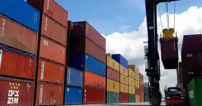 El rubro que más creció en las exportaciones: 186% en un semestre